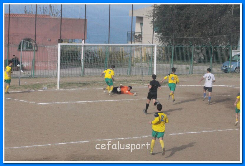 130406 delfini 172_tn.jpg